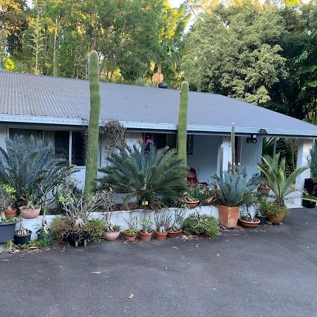 Ancient Gardens Guesthouse & Botanical Gardens Eudlo 外观 照片