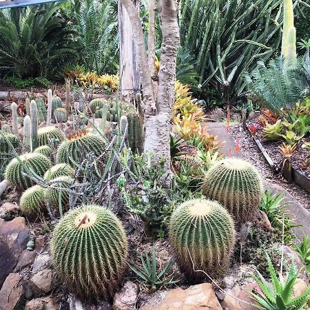 Ancient Gardens Guesthouse & Botanical Gardens Eudlo 外观 照片