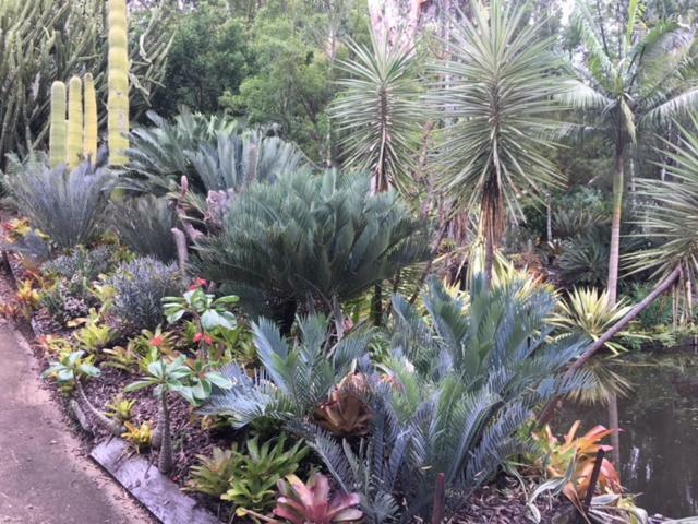 Ancient Gardens Guesthouse & Botanical Gardens Eudlo 外观 照片