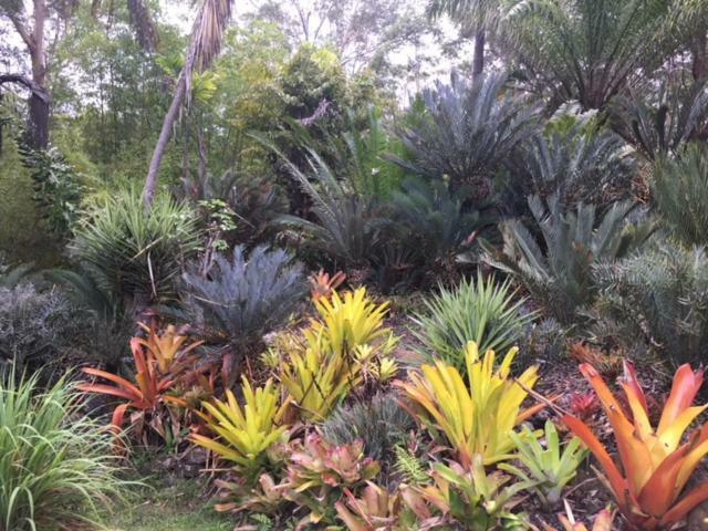 Ancient Gardens Guesthouse & Botanical Gardens Eudlo 外观 照片