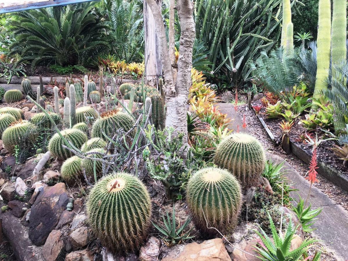 Ancient Gardens Guesthouse & Botanical Gardens Eudlo 外观 照片