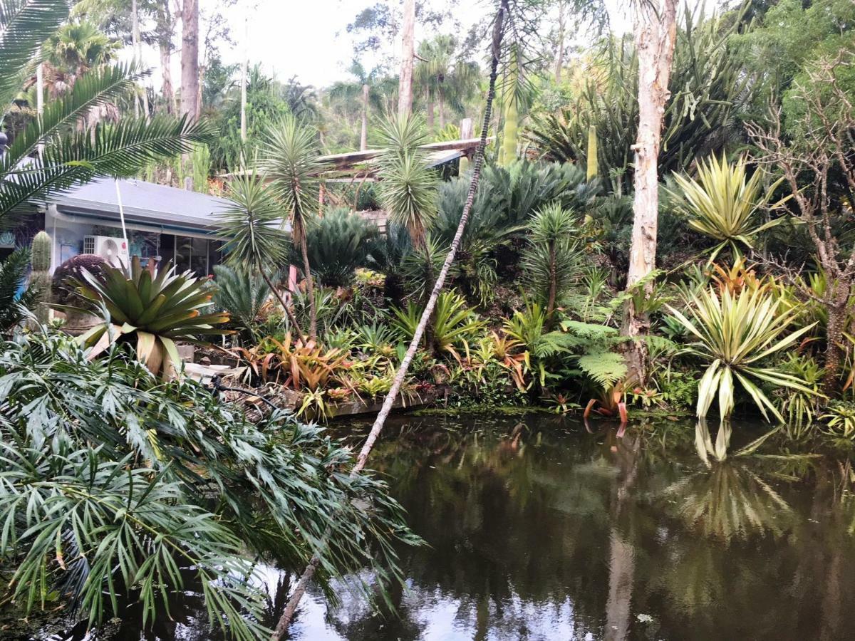 Ancient Gardens Guesthouse & Botanical Gardens Eudlo 外观 照片